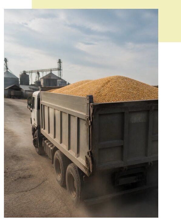 Перевозка сельхозпродукции навалом в Дзержинский по цене от 3070 р. | Агросервис-Дзж